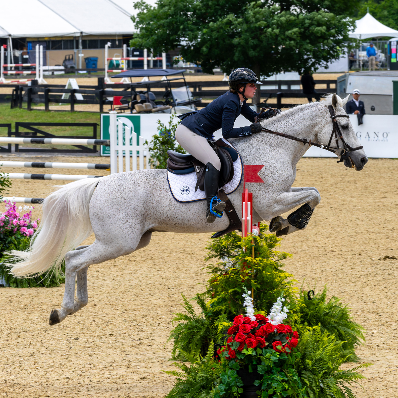 Upperville Colt & Horse Show 2024